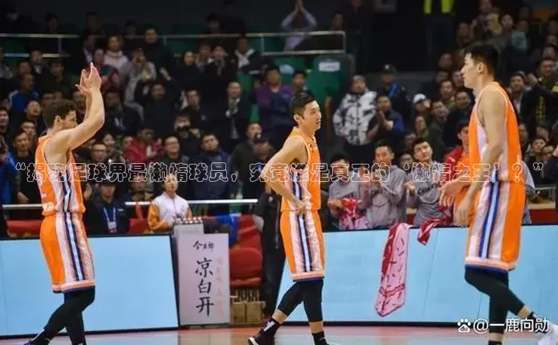 星欧平台登录入口汉得信息“揭秘足球界最懒惰球员，究竟谁是真正的‘懒惰之王’？”