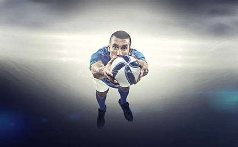 星欧娱乐平台官网入口金山办公Mastering the Game: English Translation of a Football Player