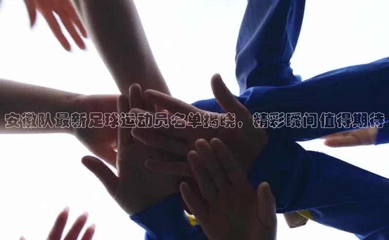 星欧平台个人登录入口百度网盘安徽队最新足球运动员名单揭晓，精彩瞬间值得期待