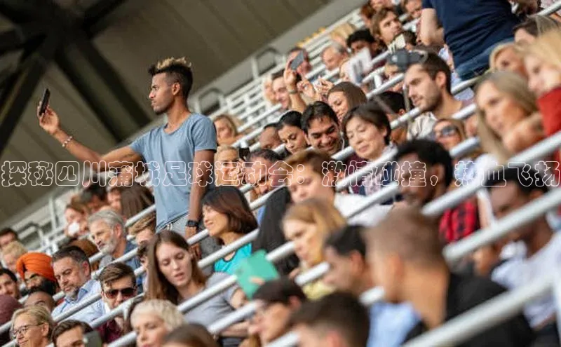 星欧注册官网入口挪威主权基金探秘四川蒲城足球运动会：激情碰撞，热血飞扬