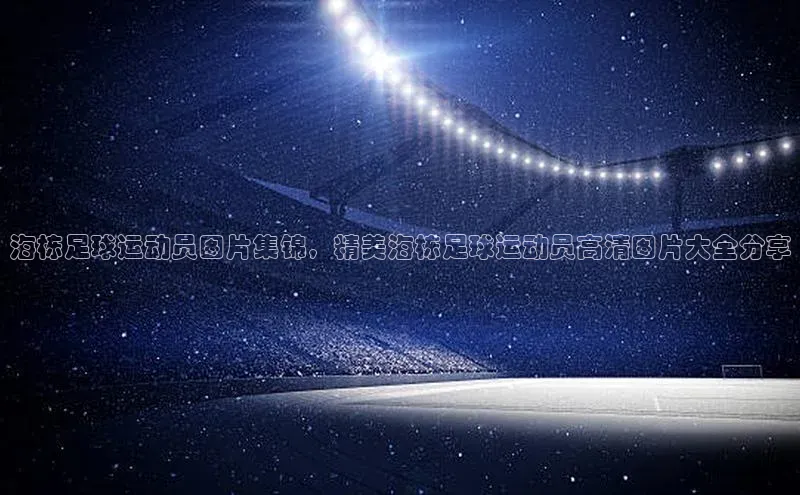星欧登录网址知乎海栋足球运动员图片集锦，精美海栋足球运动员高清图片大全分享