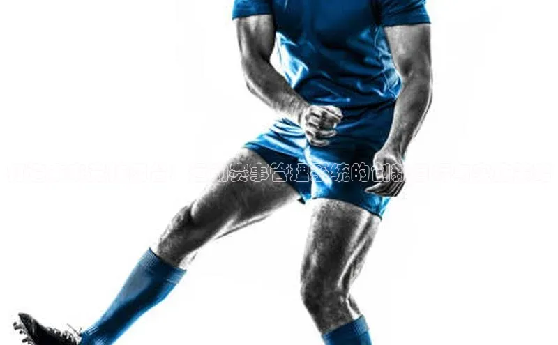 星欧娱乐官网登录天下秀打造未来竞技舞台：运动赛事管理系统的创新目标与实施策略