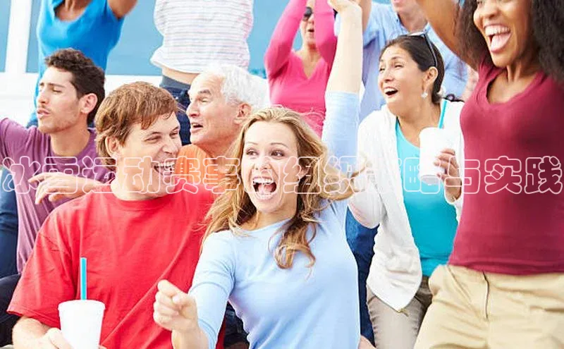 星欧平台个人登录入口百度网盘冰雪运动赛事的组织策略与实践