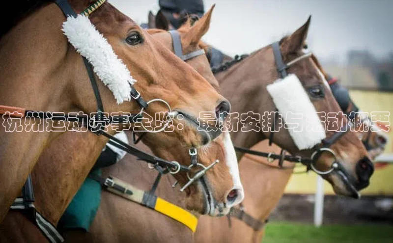 杭州运动赛事全览：最新安排与活动概要