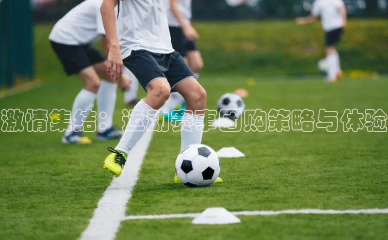 激情集结：运动赛事团购策略与体验