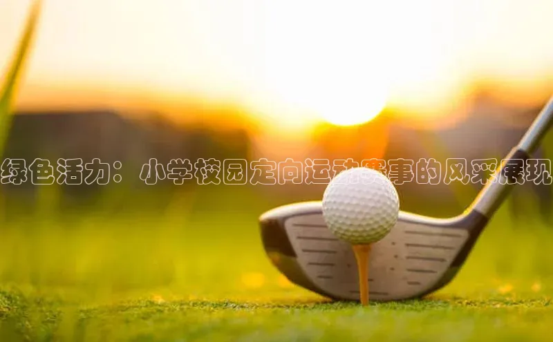 绿色活力：小学校园定向运动赛事的风采展现