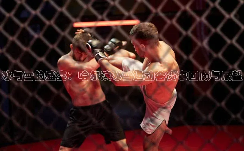 冰与雪的盛宴：哈尔滨冰雪运动会赛事回顾与展望