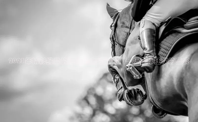 2023年精彩纷呈的运动赛事时刻表：一场全球狂欢的盛宴