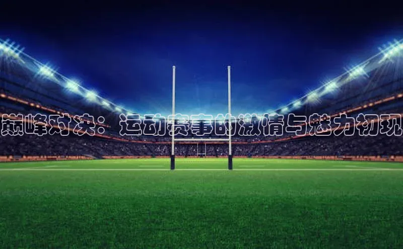 巅峰对决：运动赛事的激情与魅力初现