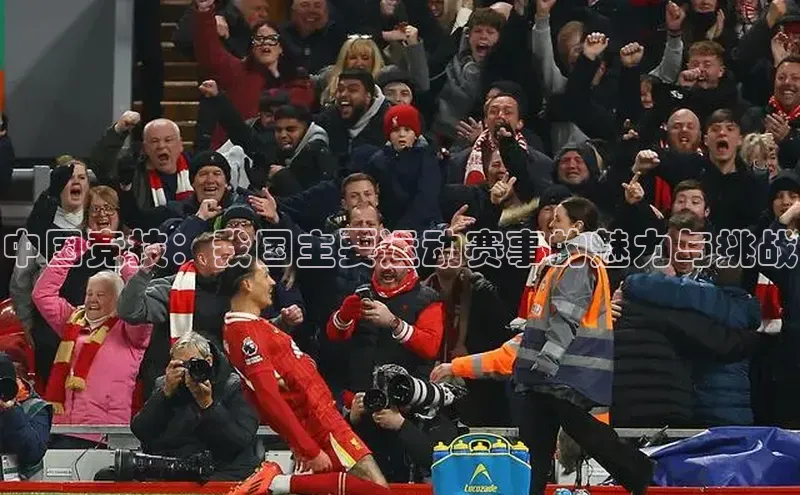 星欧平台点登录入口